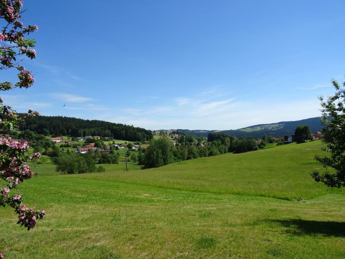 Fewo Gabi Neuschönau Extérieur photo